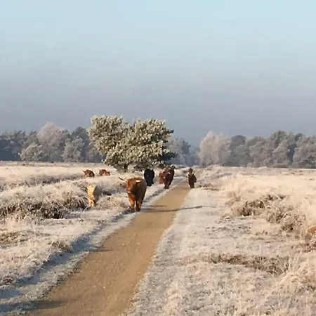 De Egelburcht 펜션 *