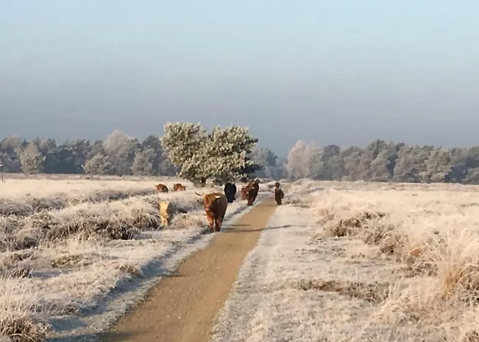 De Egelburcht Vakantiehuis *