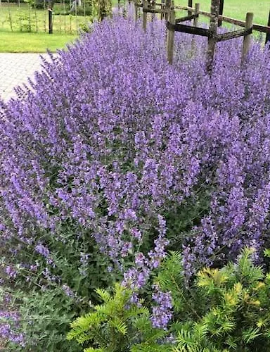 De Egelburcht * Garderen